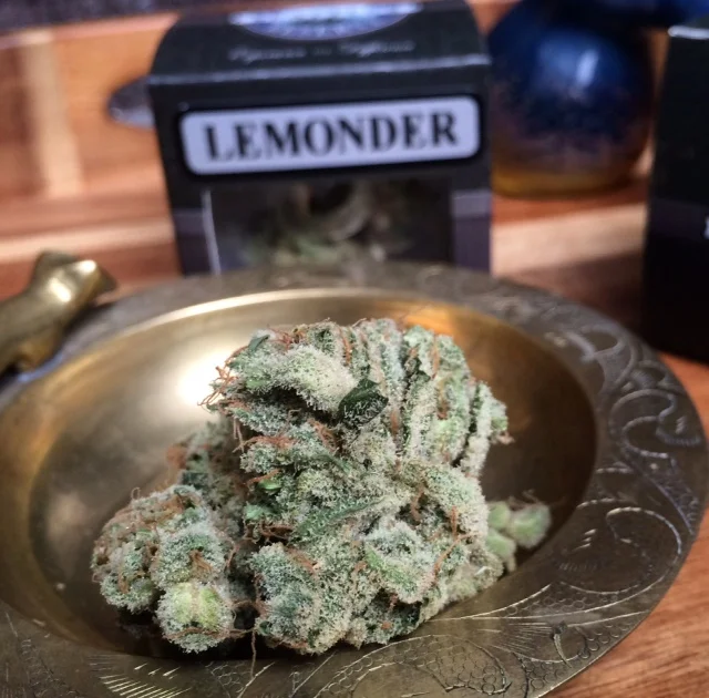The Science and Art of Judging Cannabis: Introducing Evergreen Cup Winner, Seattle’s Private Reserve