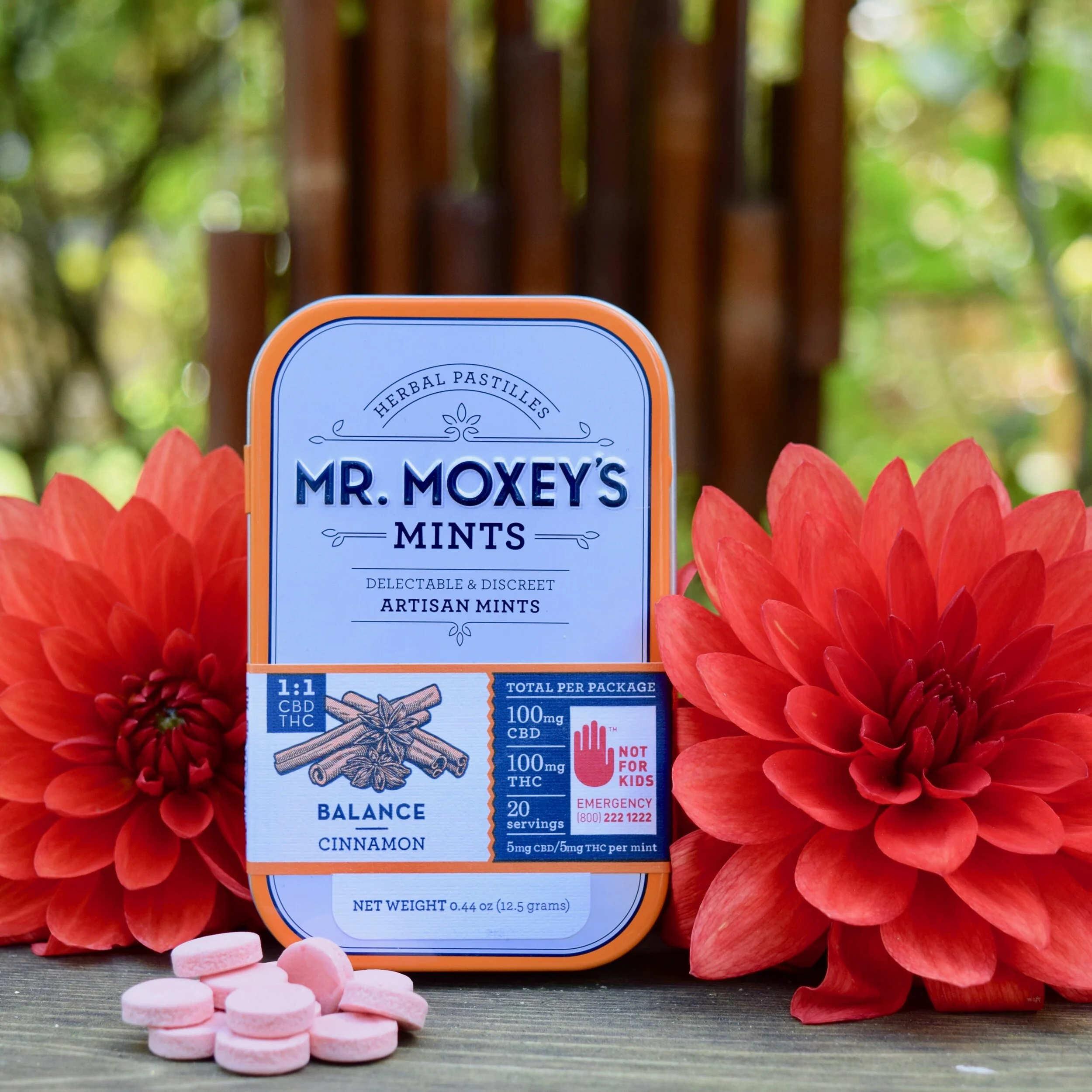 Thanksgiving shoppers: Friendsgiving vs. Family Dinner