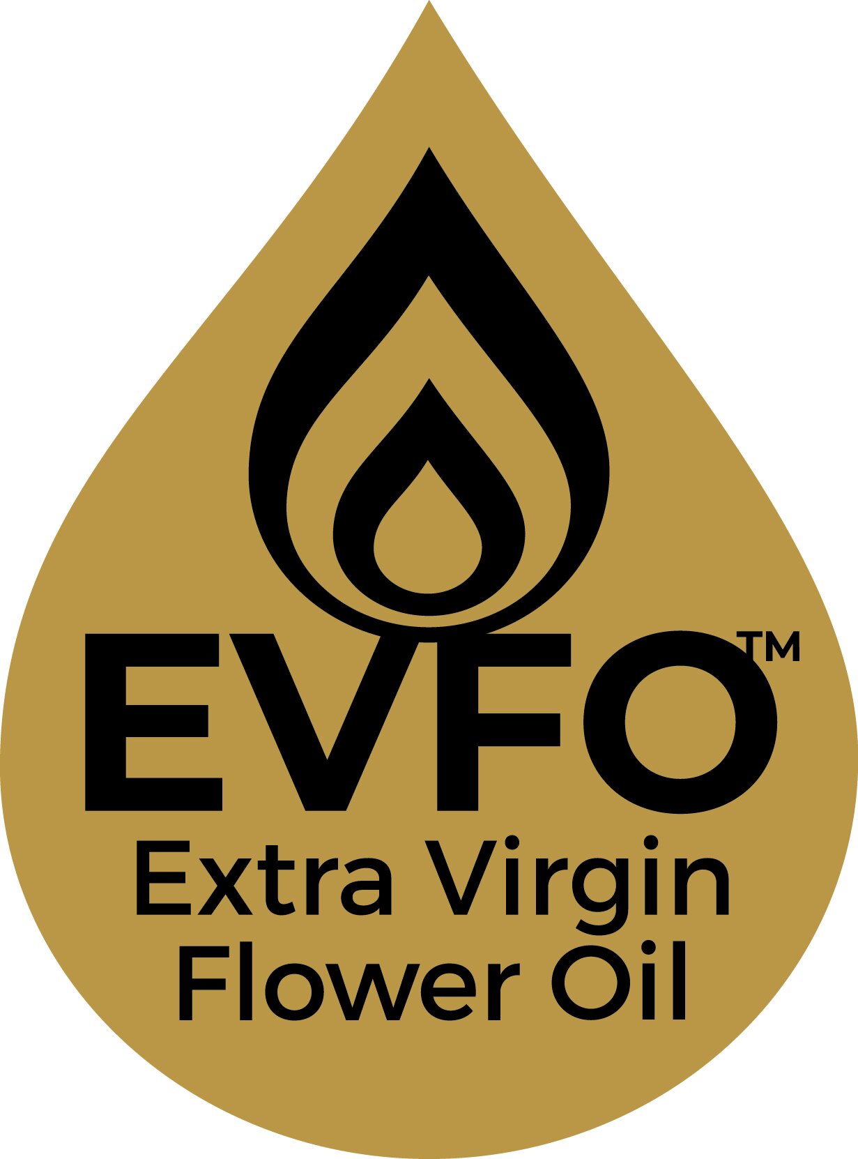EVFOl.Final.Logo.jpg