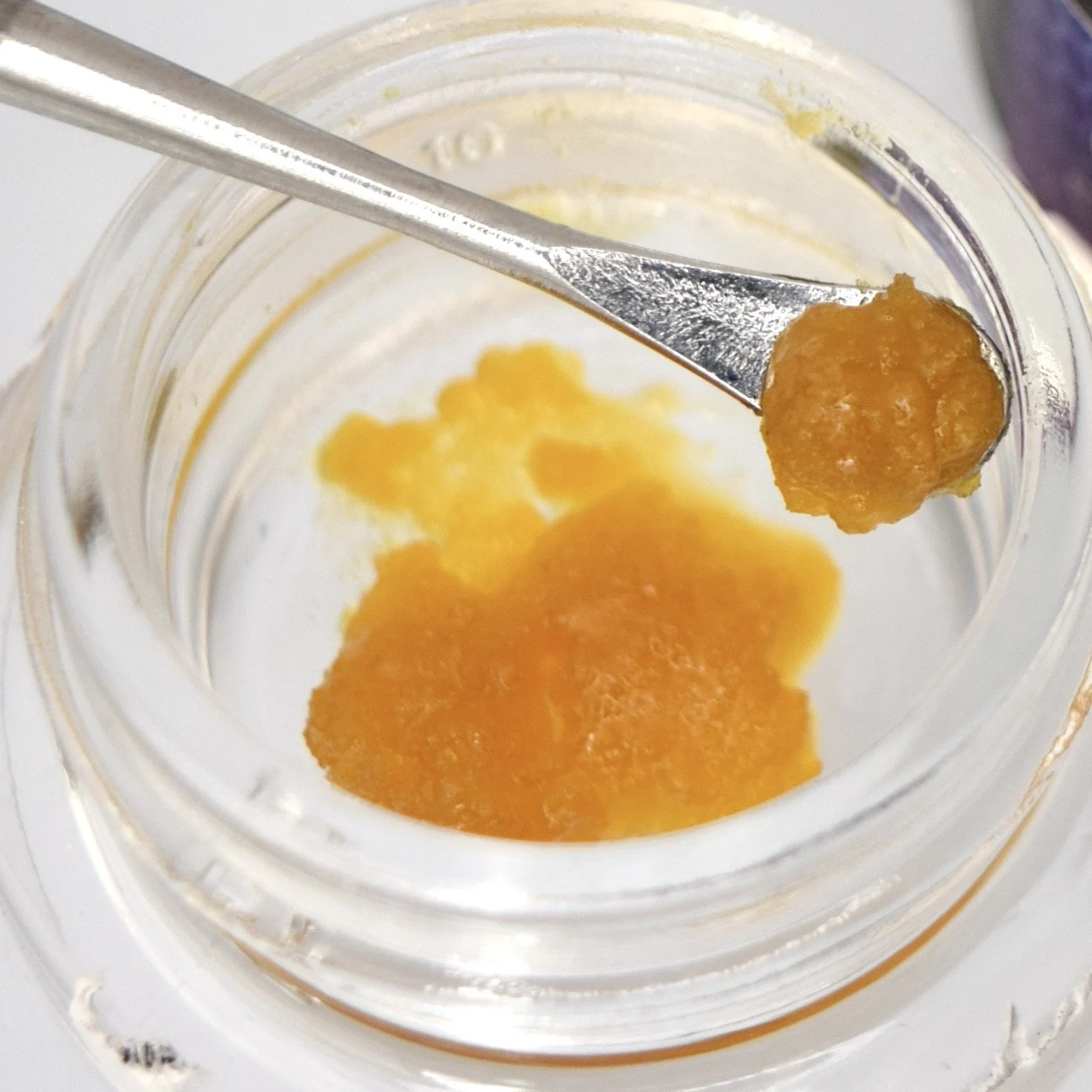 Best of the Rest 2021