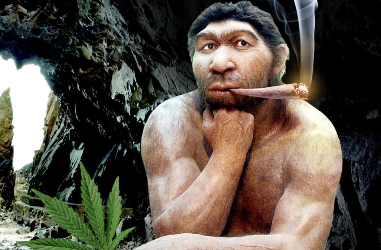 Cannabis History 101: Ancient and Eastern Cannabis