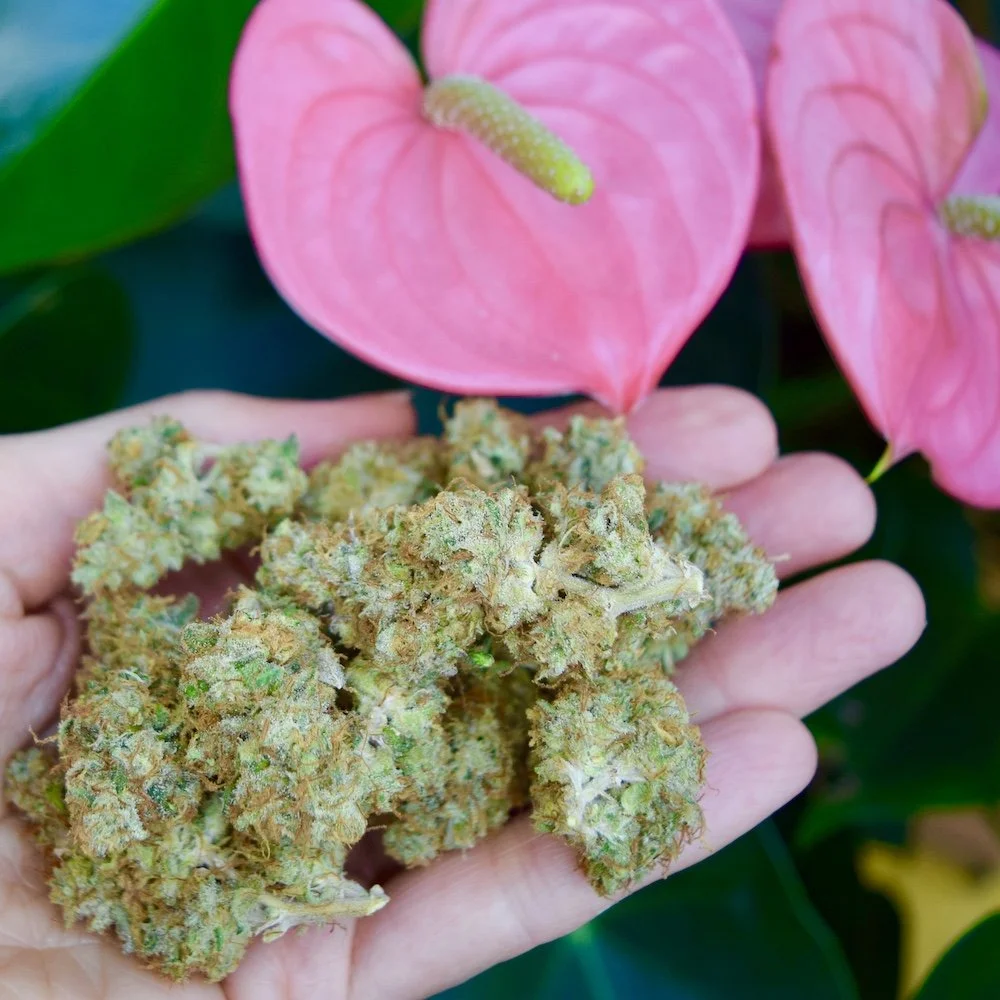 How Did Maui Wowie Get Its Name?