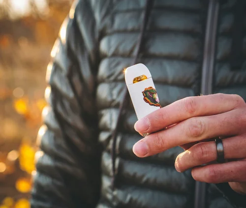 Which Disposable Vape Is Best for You? Hashtag Cannabis Which Disposable Vape Is Best for You? Hashtag Cannabis