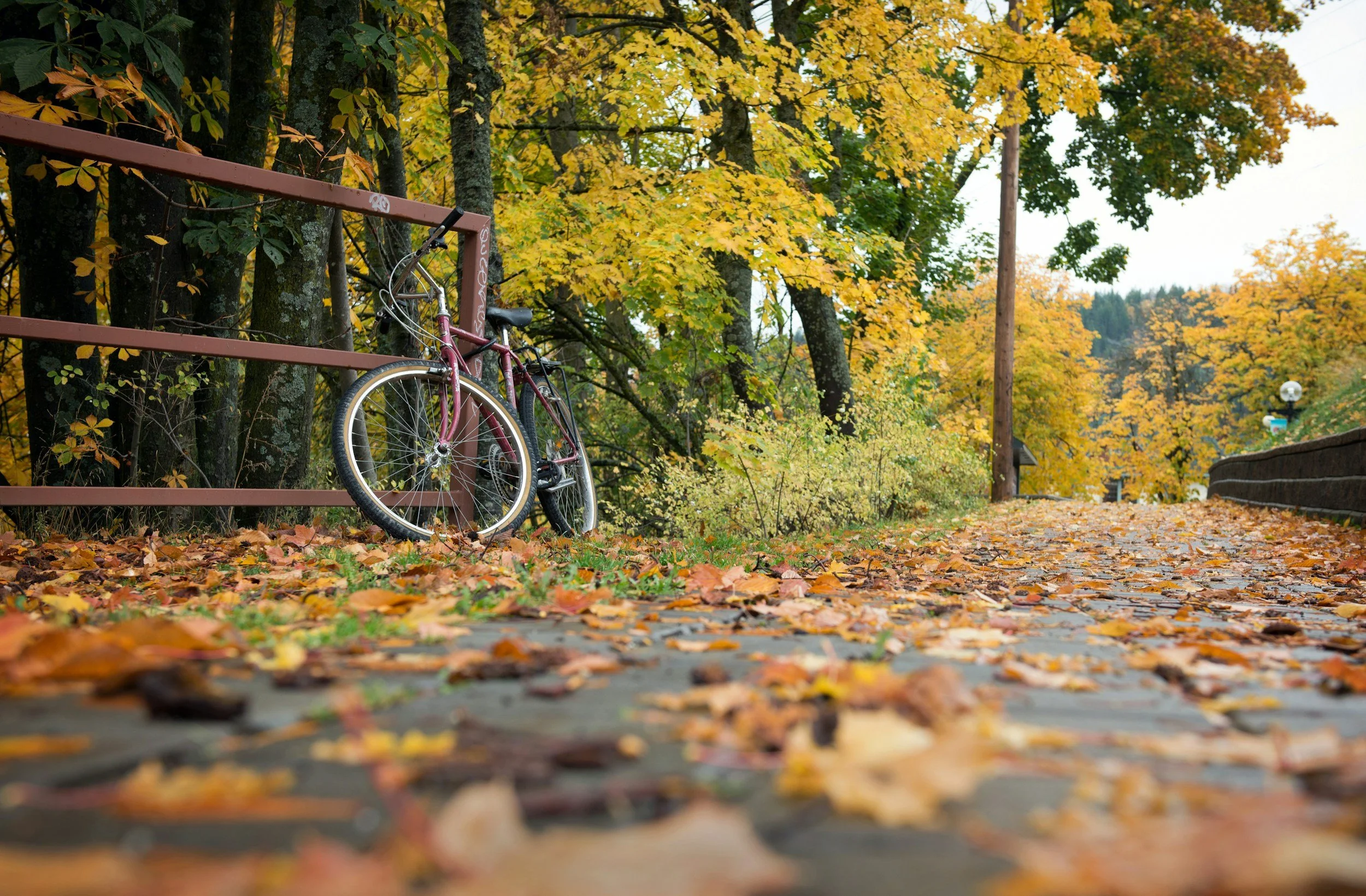 Back to Nature: Best Spots Around Redmond to Relax with Cannabis