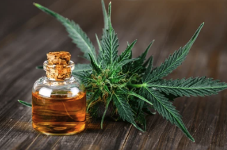 Medical vs. Recreational Cannabis Regulations in Washington: What You Need to Know