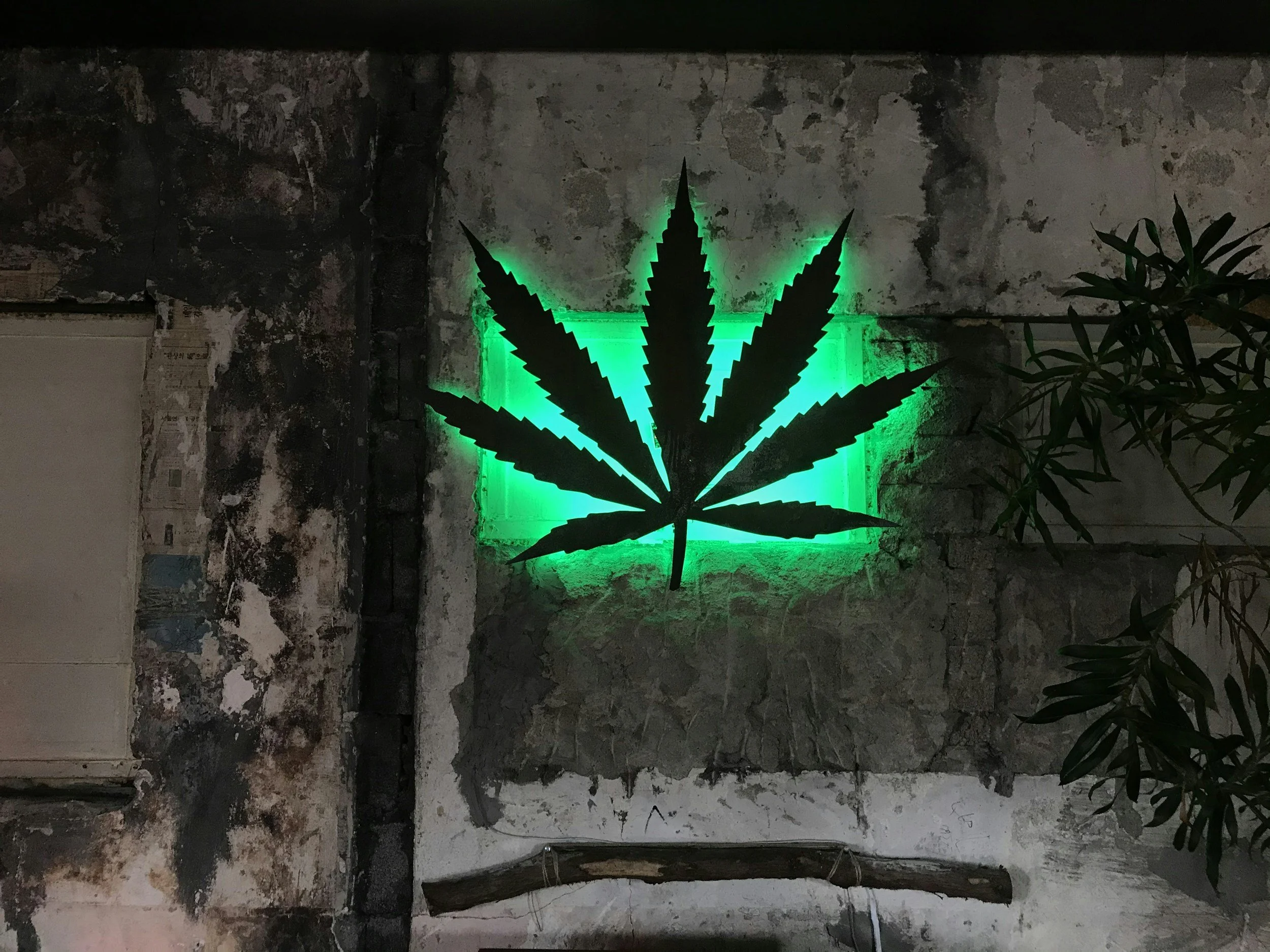 What Happens Next If Cannabis Is Rescheduled?