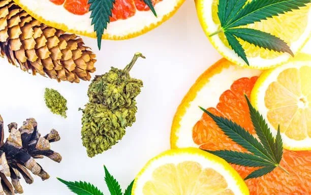 Terpenes, Flavors &amp; Synergies in Concentrates 