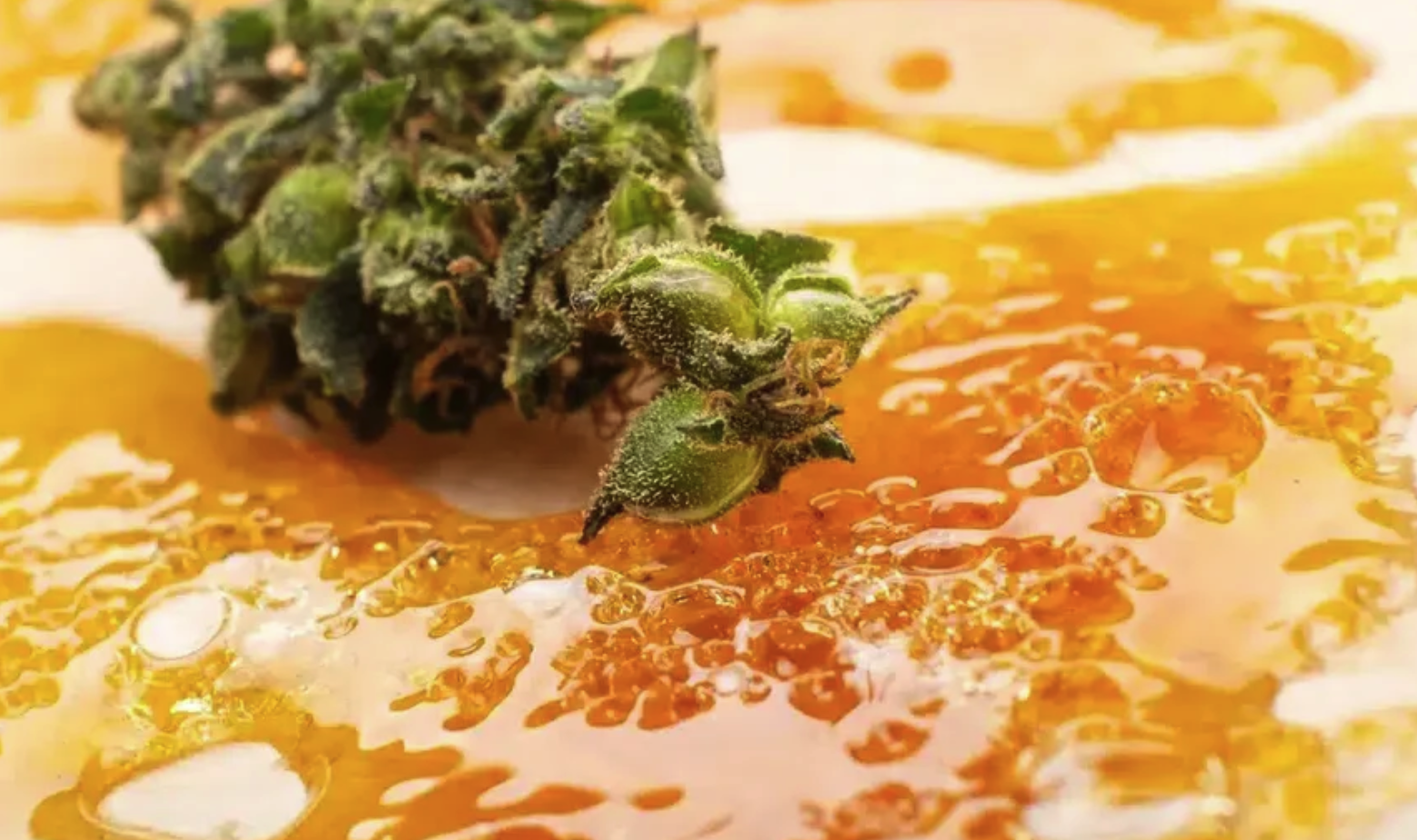 How Extraction Method Affects Vape Flavor and Smoothness 