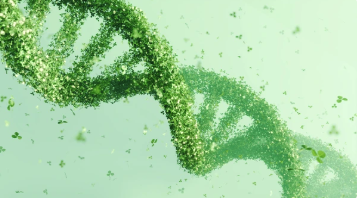 Cannabis &amp; Genetics: Why Don’t They Make ’Em Like They Used To?