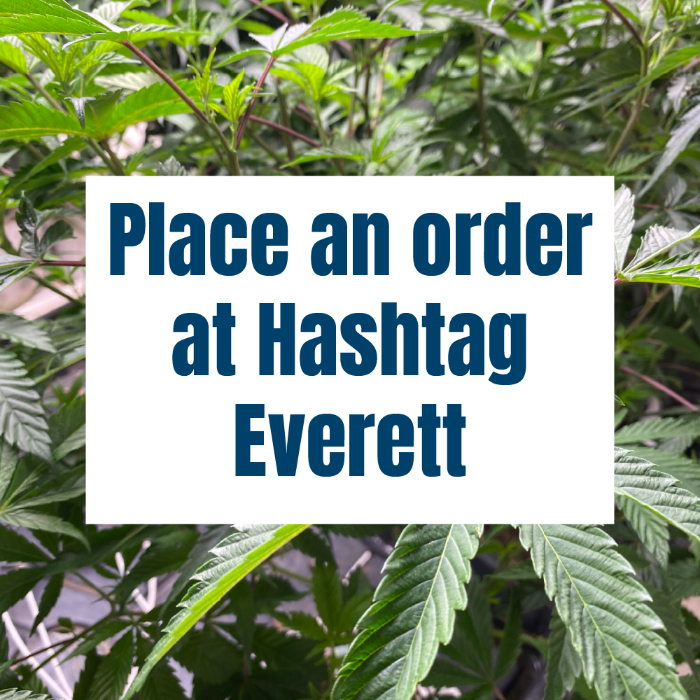 Hashtag Cannabis  Recreational Marijuana Dispensaries Seattle