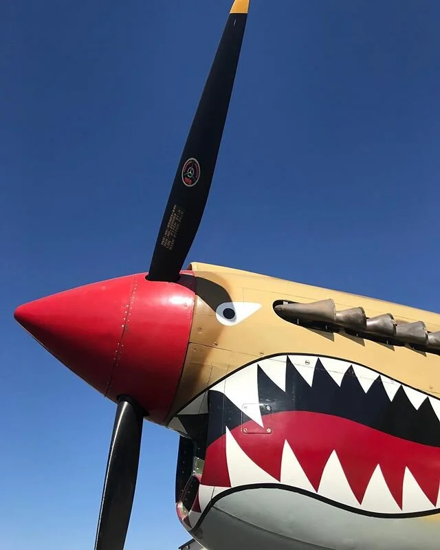 I C O N I C &bull; A little something from our visit to @planesoffame last year ✈️❤️
.
#P40 #PlanesOfFame #Warbird #Aircraft #Plane #TheFlyingPinup #Warbird #Aviation #AviationDaily #AustralianAviation #AvNerd #aviapics4u #Plane #Flight #Airport #avg