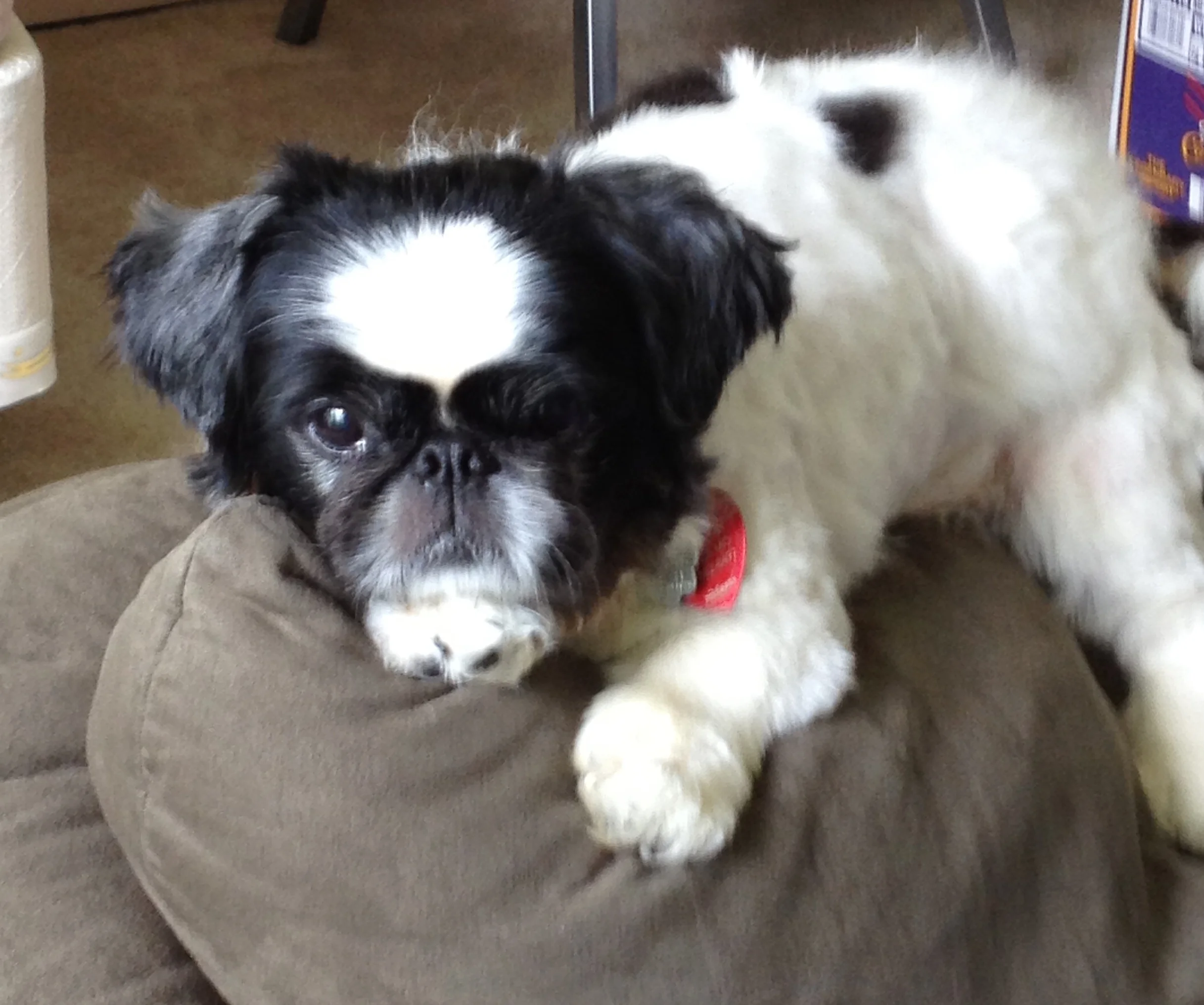 Writing in Grief: A Love Letter