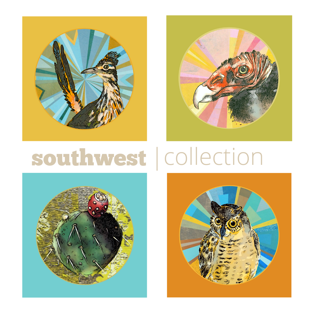 Desert Collection Postcard.png