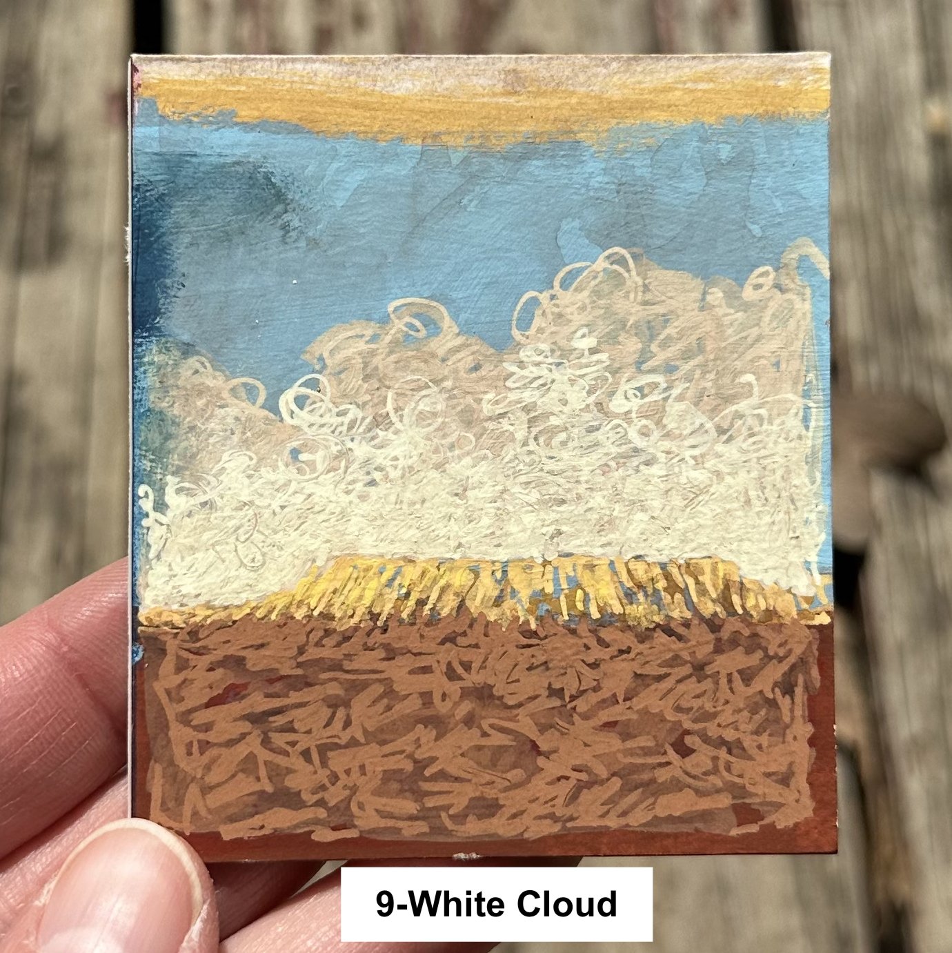 9_White Cloud.jpg