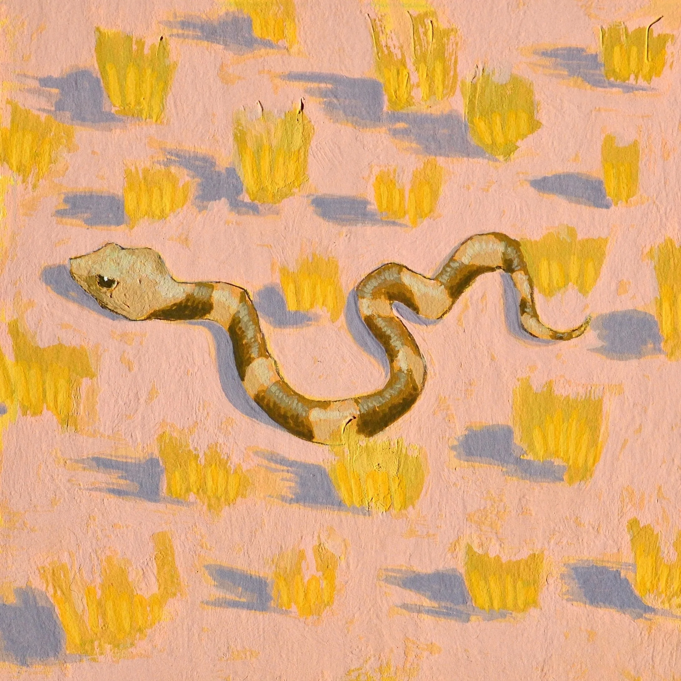 Adobe Farm_Copperhead.jpg