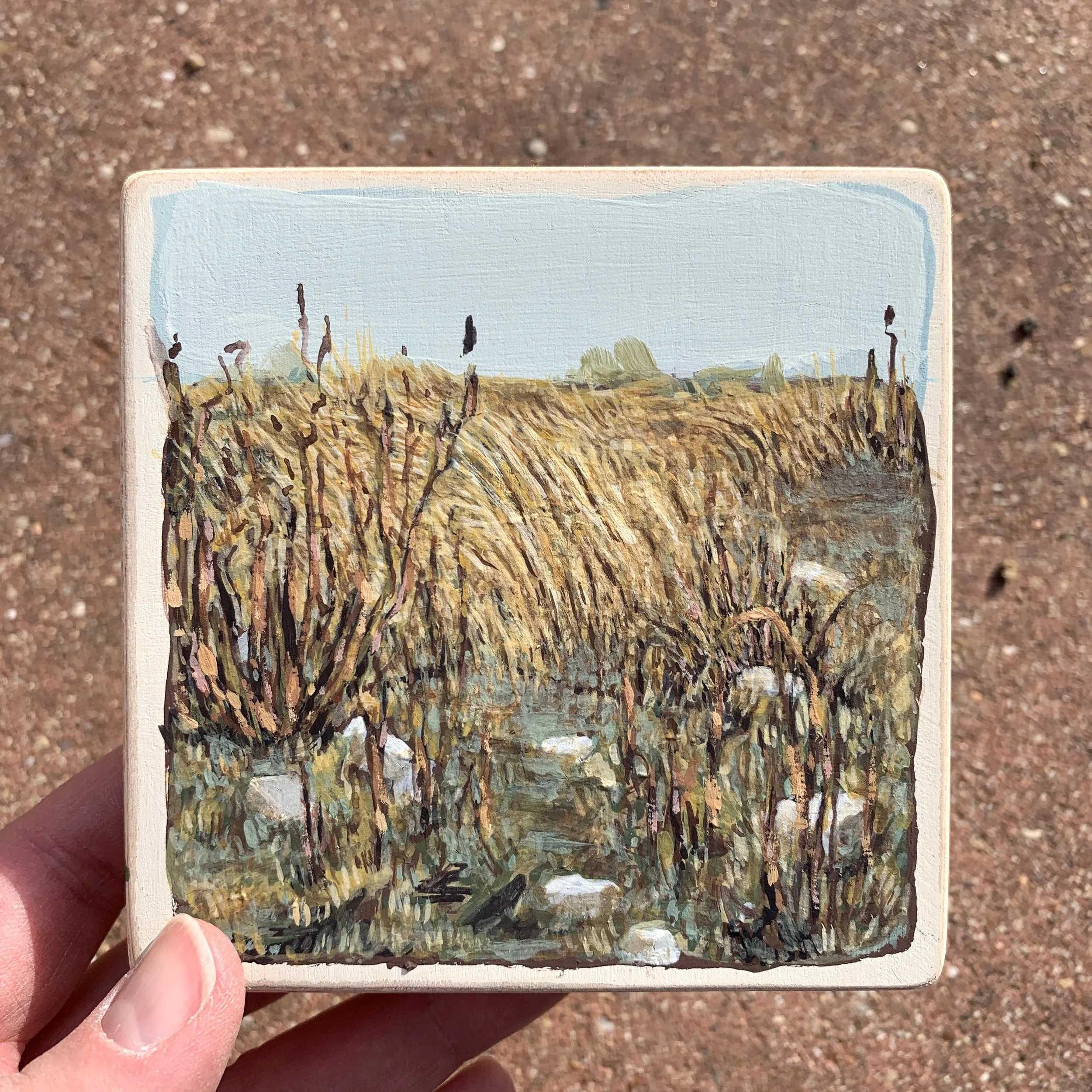 Where the Fog Meets the Grass_scale.jpg