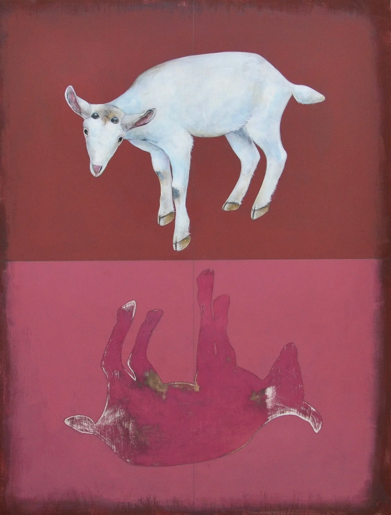 Baby Goat.JPG