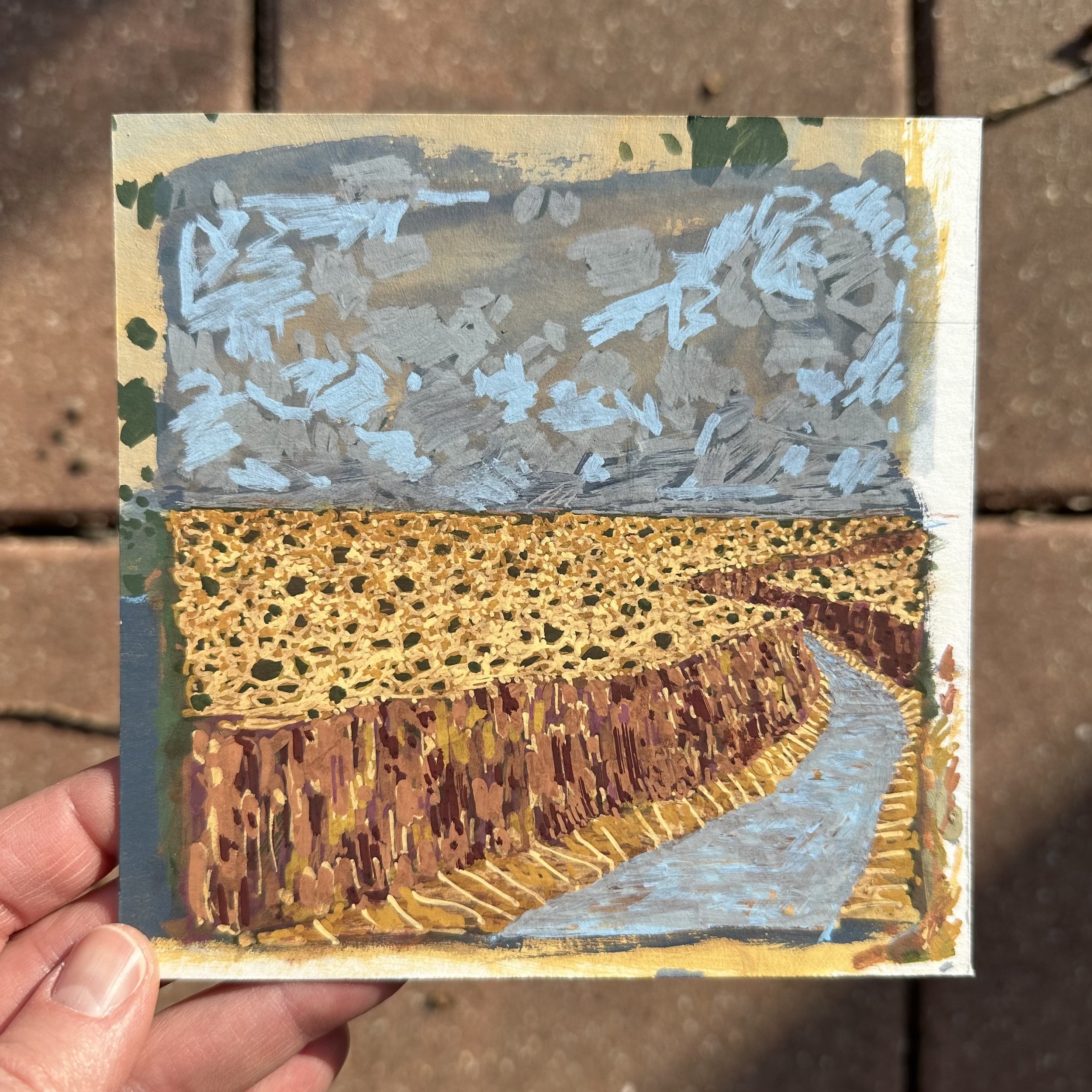 From the Top of the Canyon_scale.jpg