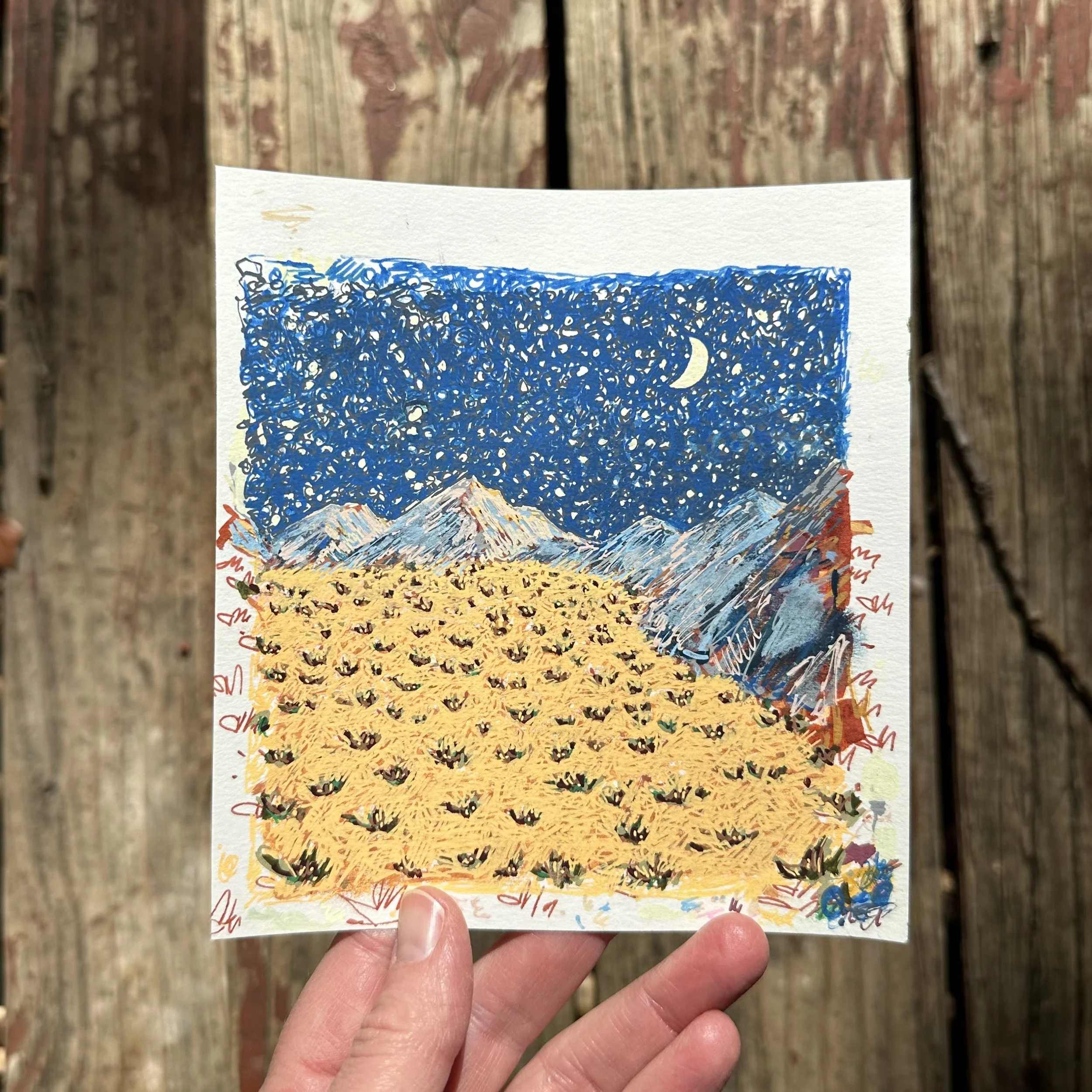 Cresent Moon full.jpg