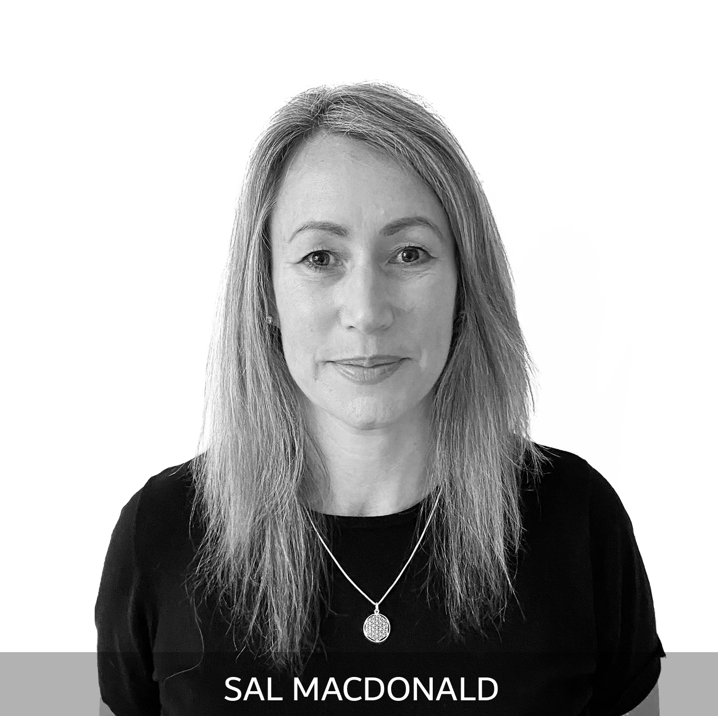 Sal_website named.png