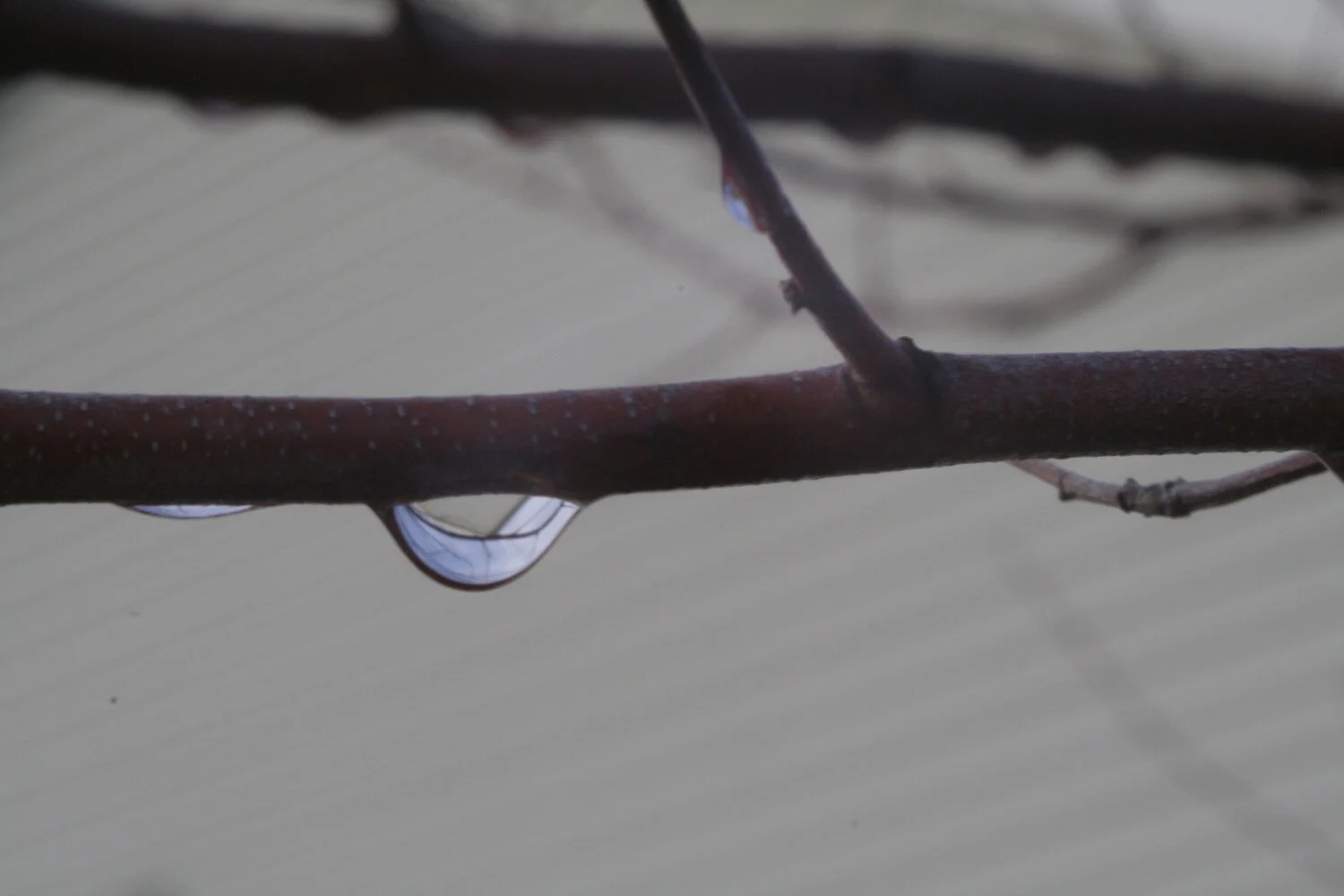 waterdrop.JPG