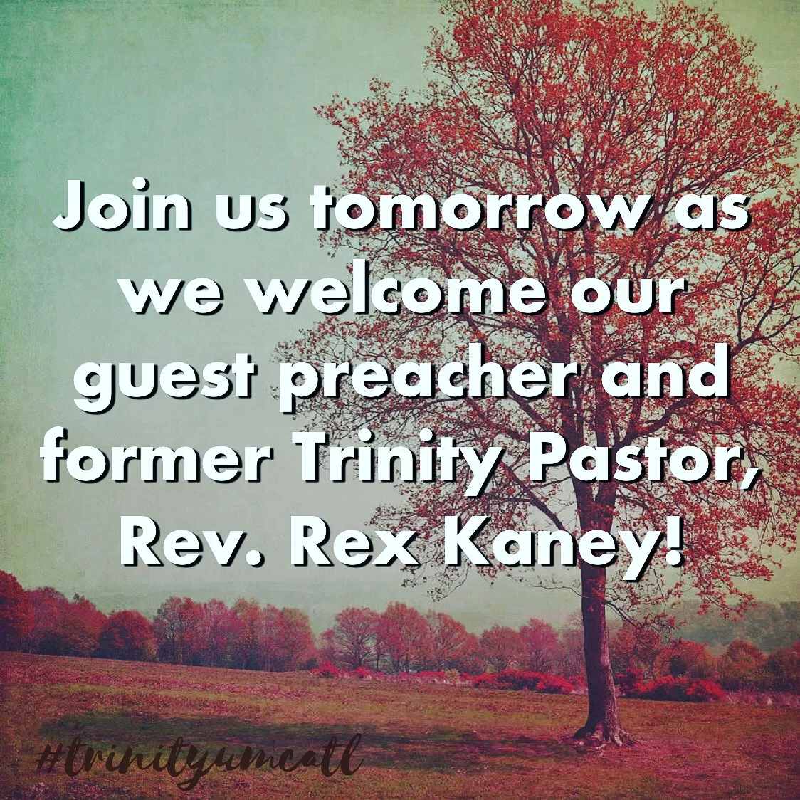 Fifteenth Sunday after Pentecost