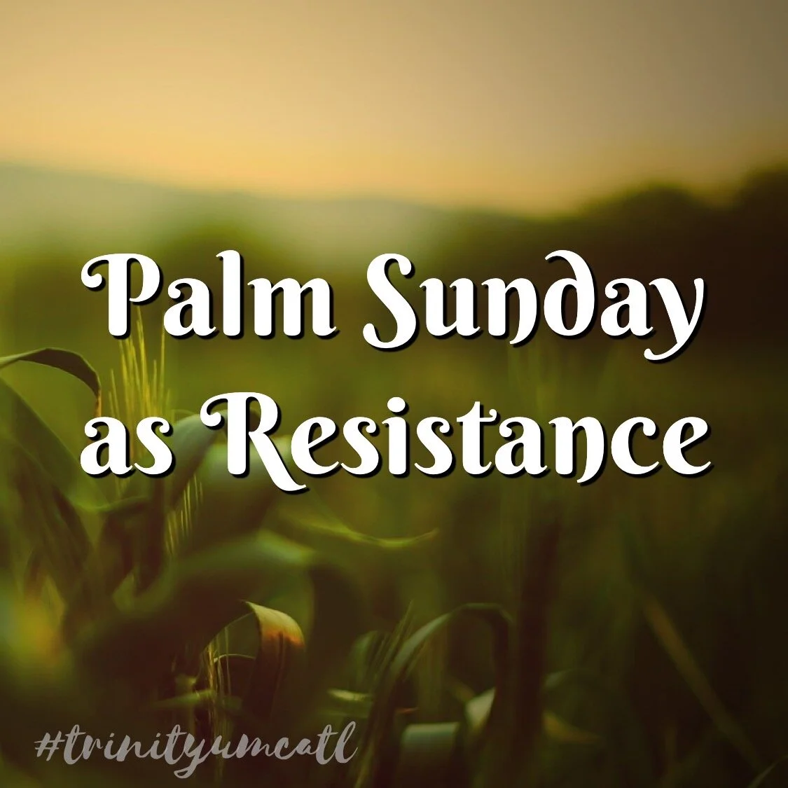 Palm Sunday
