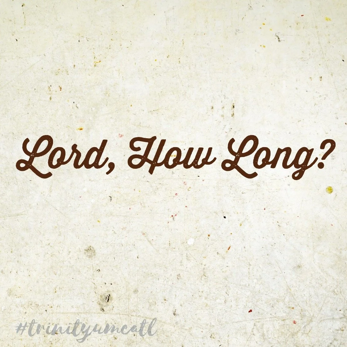 Twenty-Third Sunday after Pentecost