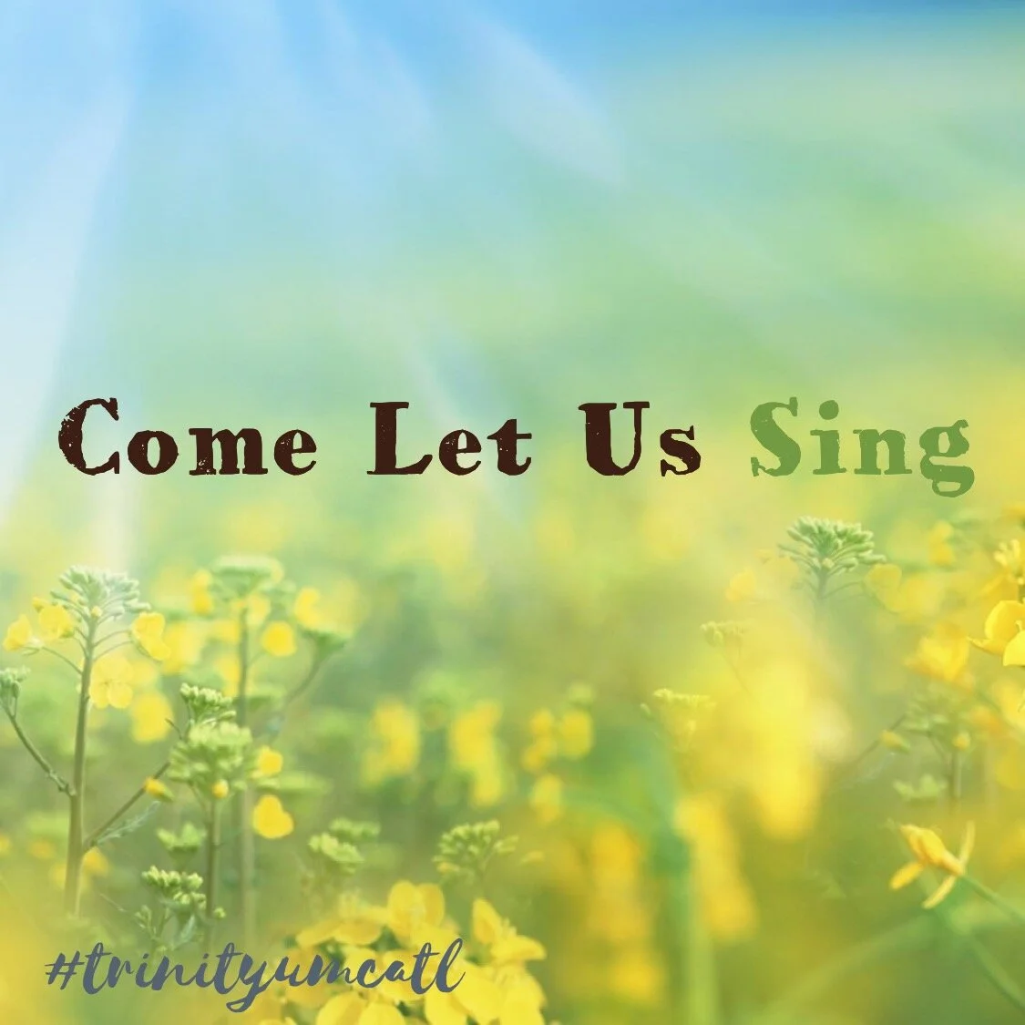 Christ the King Sunday