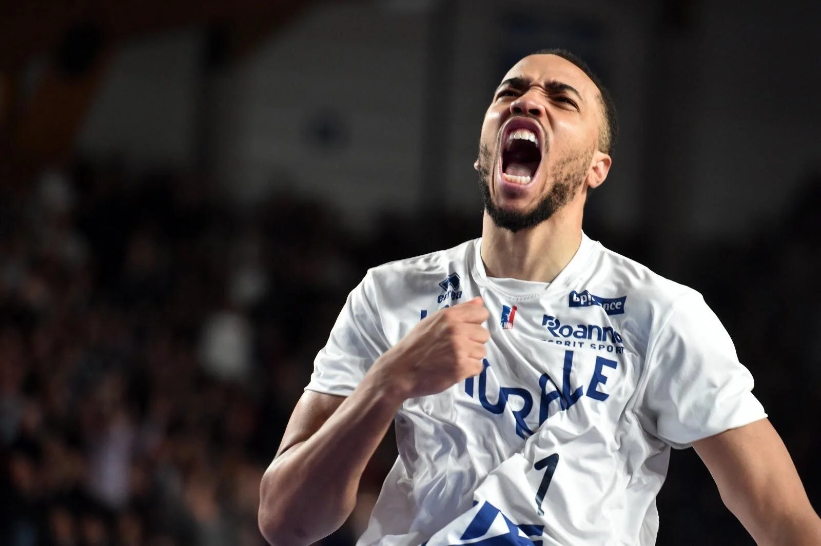 Brice Johnson