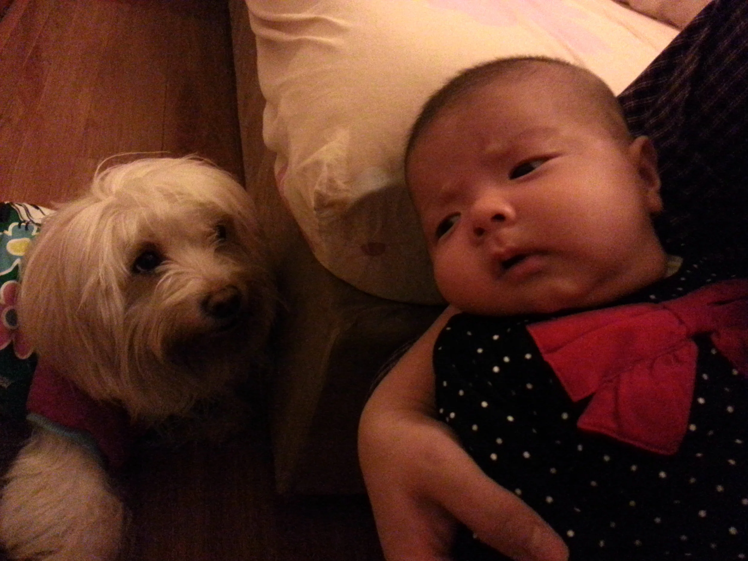 20121212_213118.jpg
