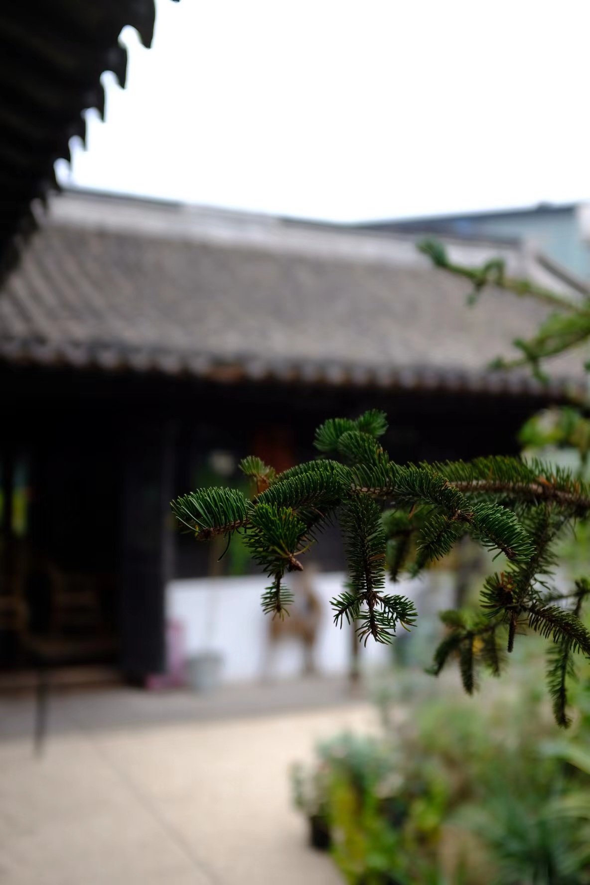 7FD1A137-3E01-418B-B627-8B37398F9750.jpeg