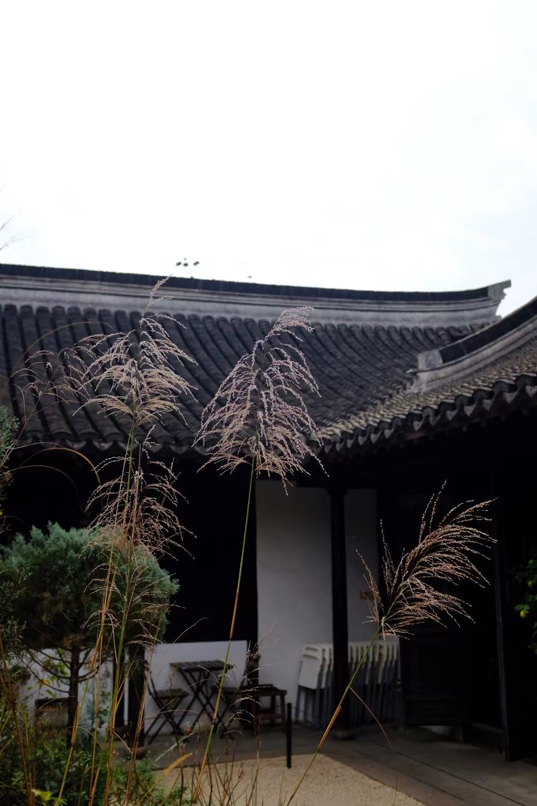 415974F1-BC66-4D33-9411-A5AD16B303BB.jpeg