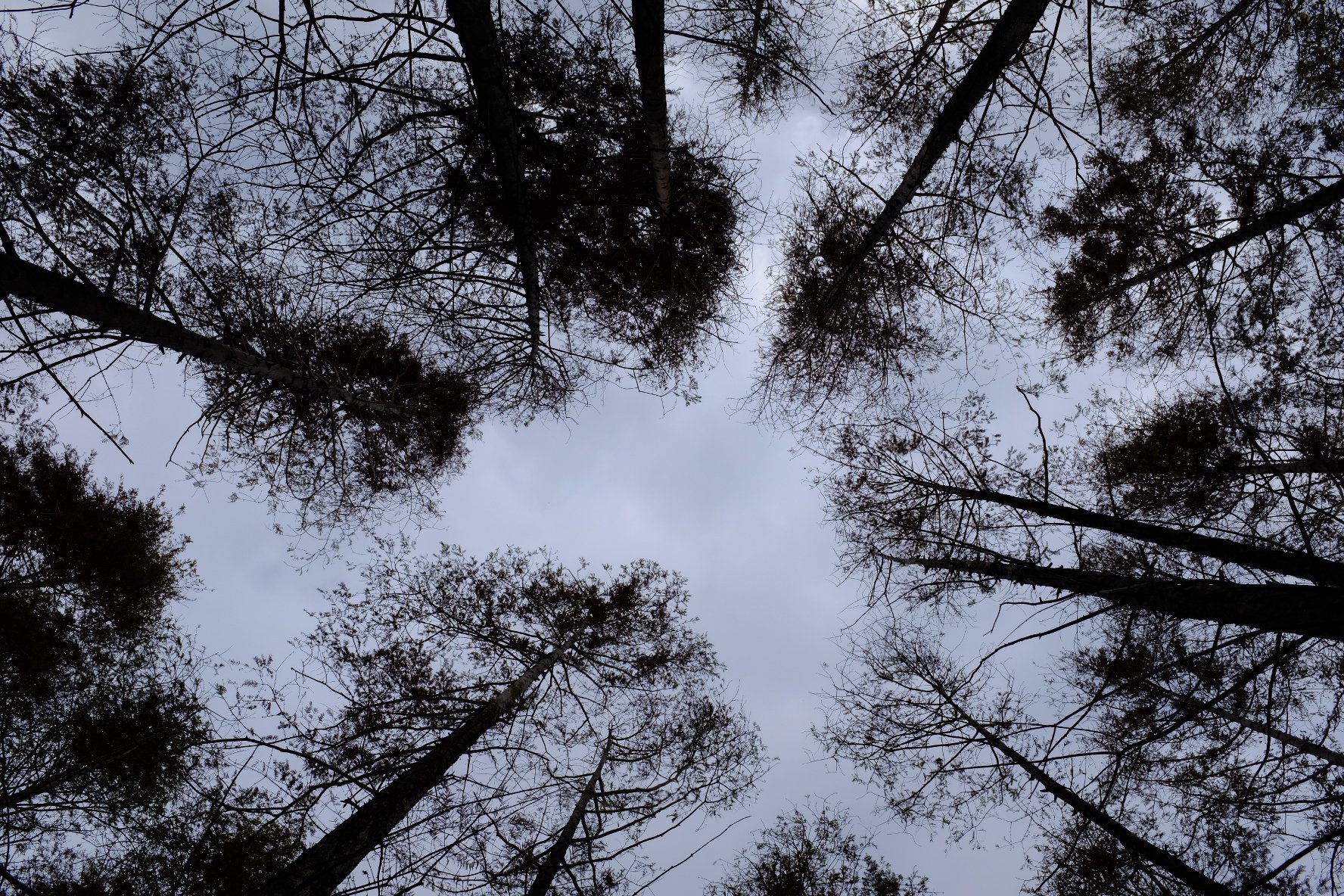 2057703A-DBEC-42C7-9578-98743274DBBF.jpeg