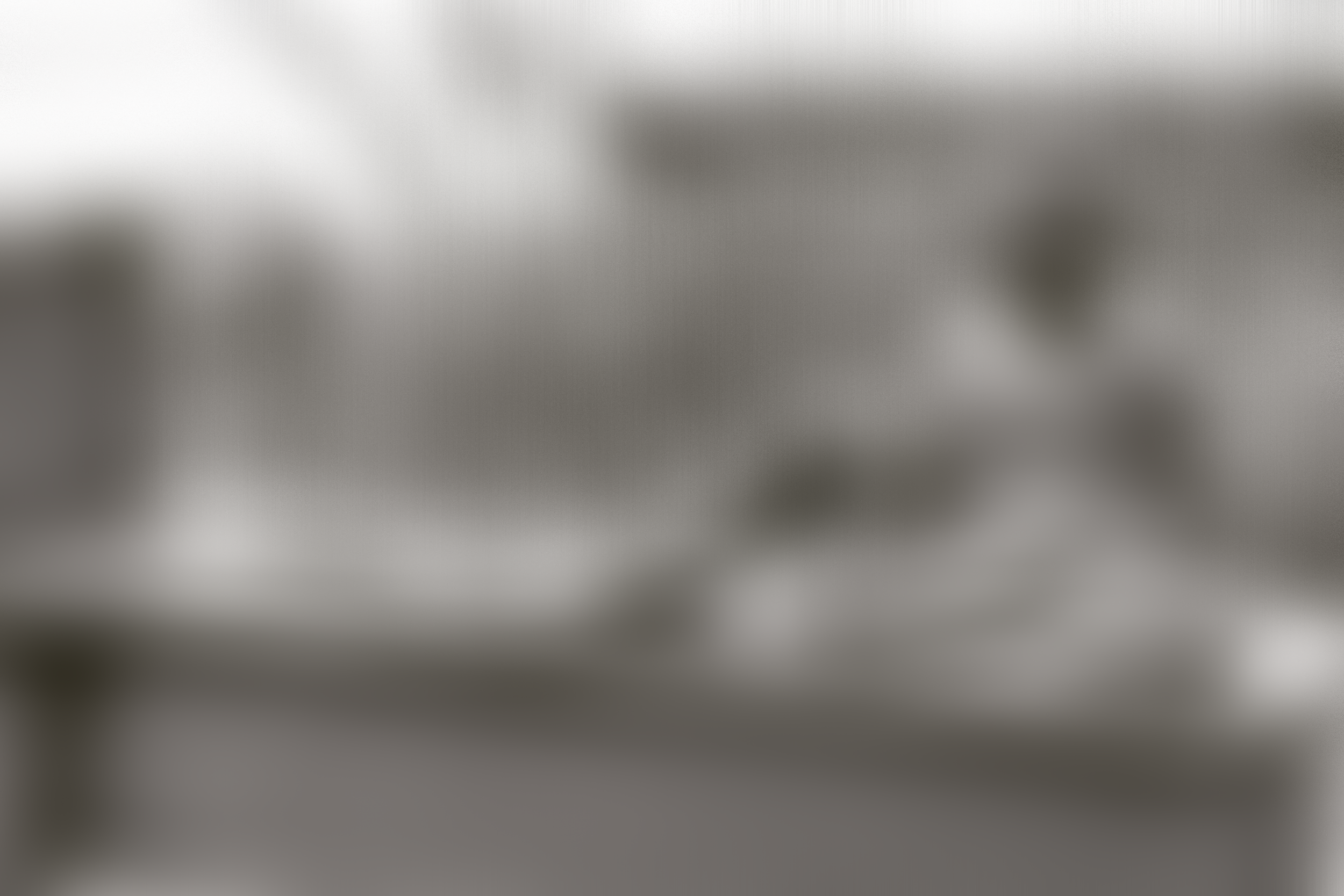 IMG_2894.png