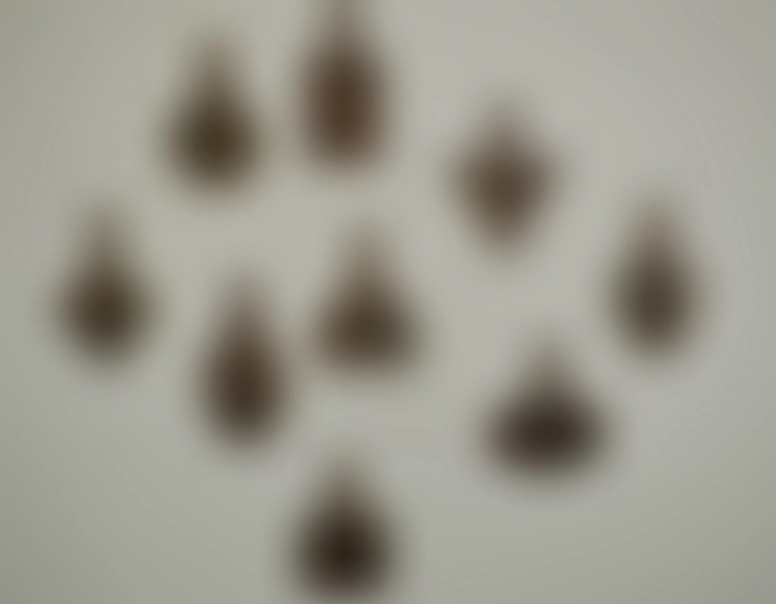 L1010472.jpg