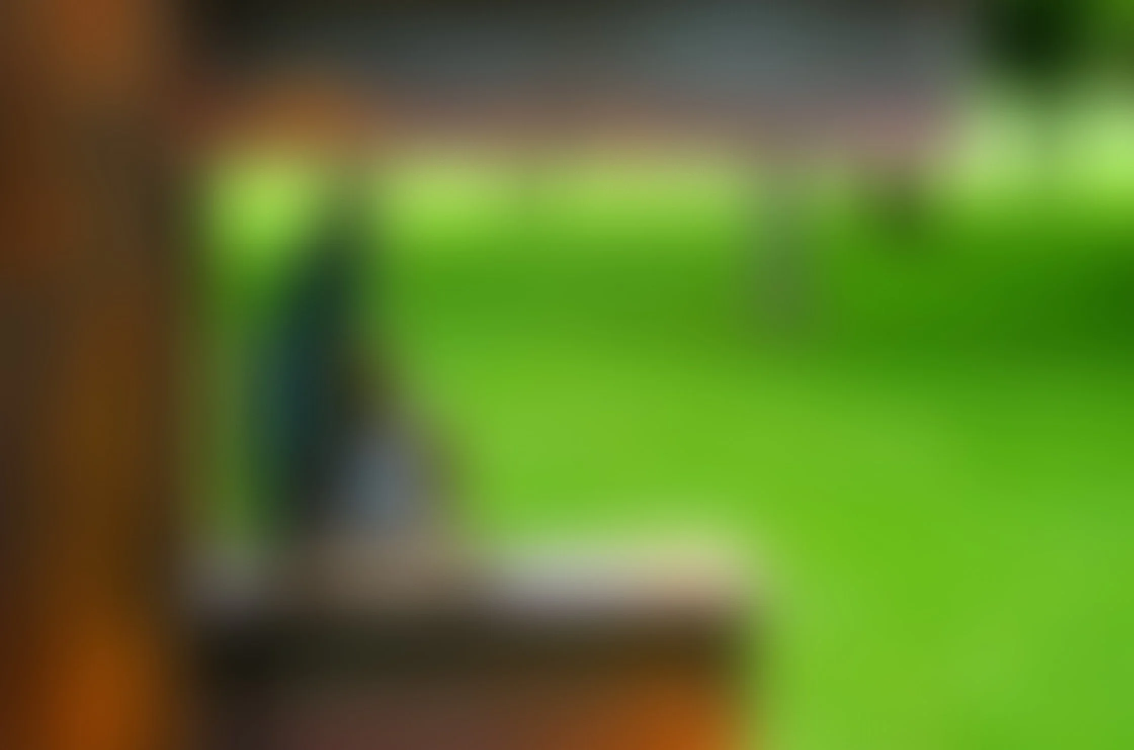 SV400729.jpg