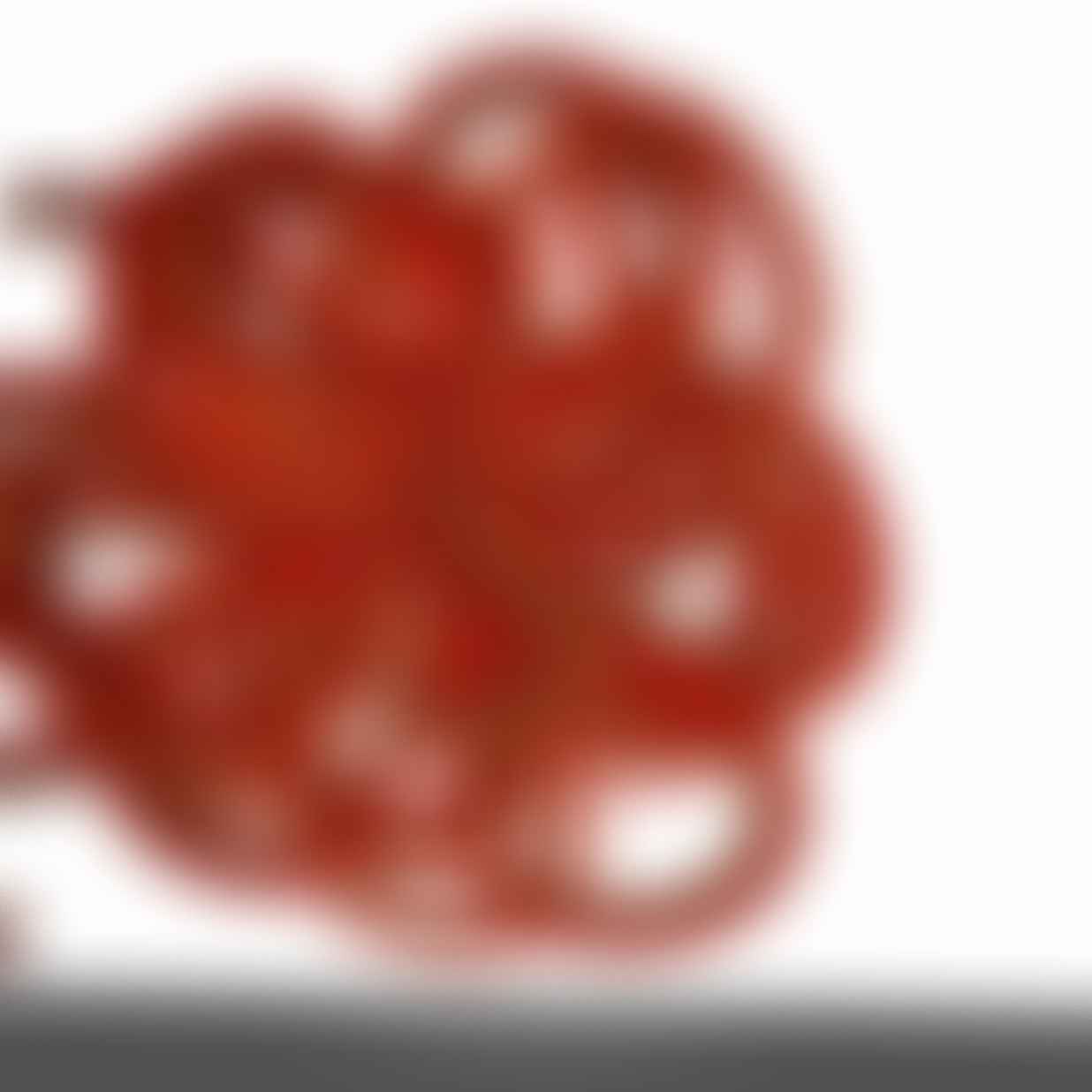 IMG_1342.png