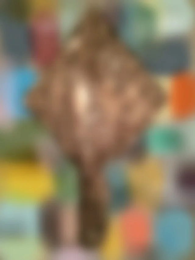 Ri_sCqg6Jd2uILi7Cw3PCMofD2U9Zcsh83k73WhnOFtmhFvf.jpg