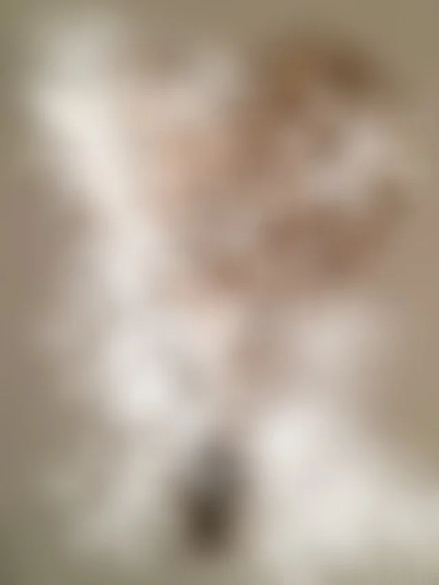 o6sjoCYzgVnnxB4bM5O0Tf_CQnN7iBE3wM8h_fzqcVWBtu59.jpg