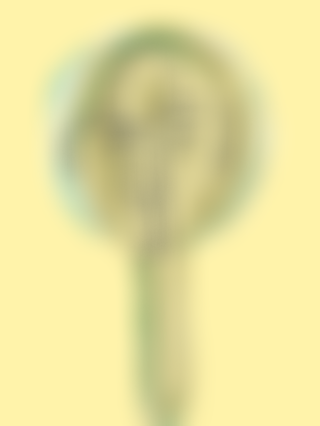 IMG_0554.png