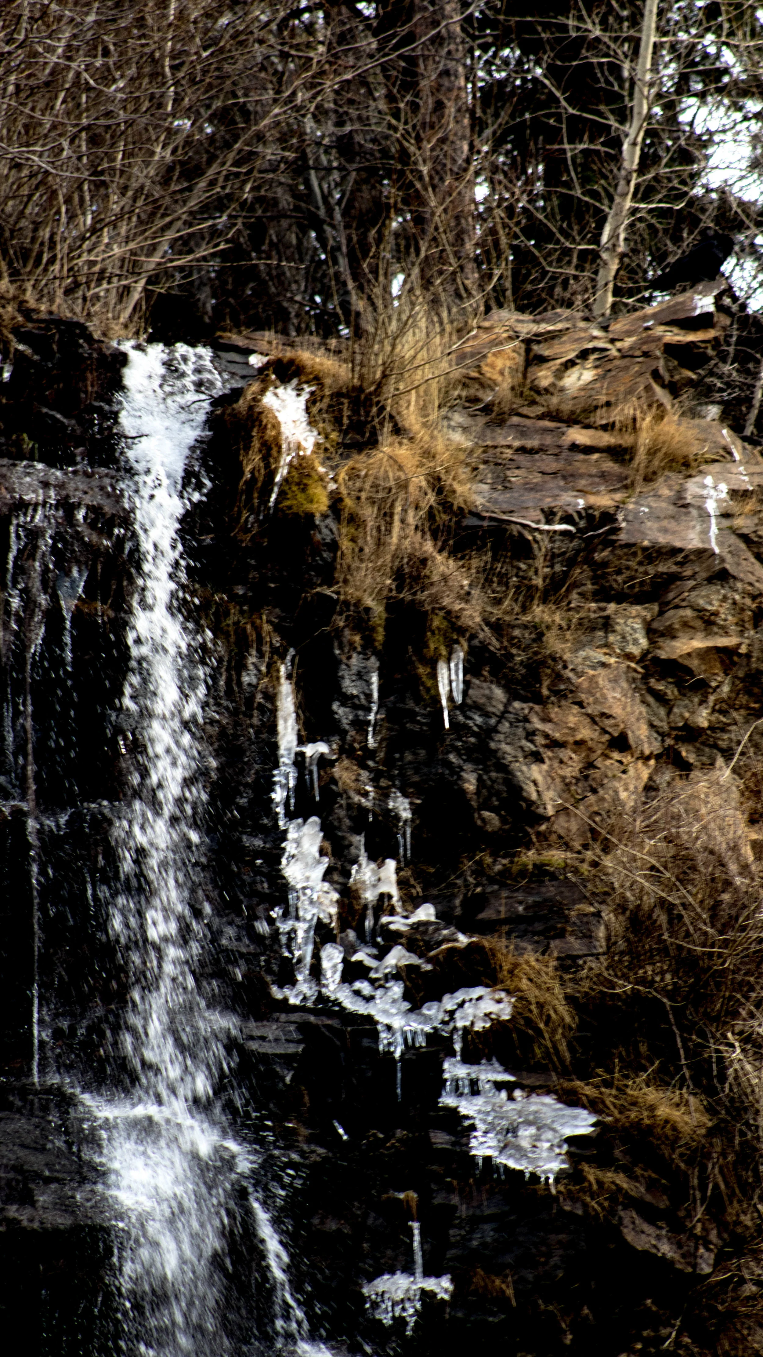waterfall (1 of 1).jpg