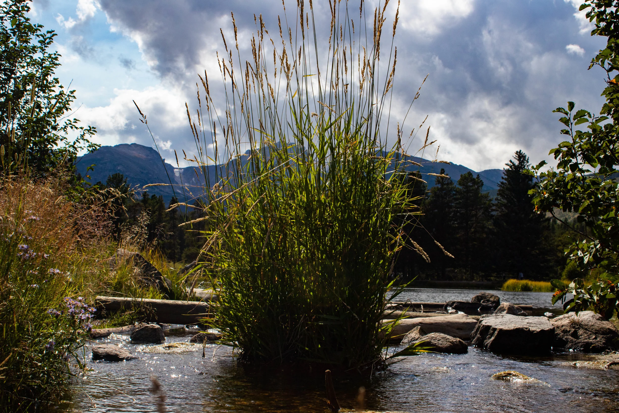 bearlakeRMNP4 (1 of 1).jpg