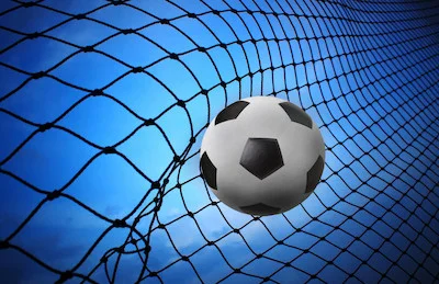 goal copy.jpg