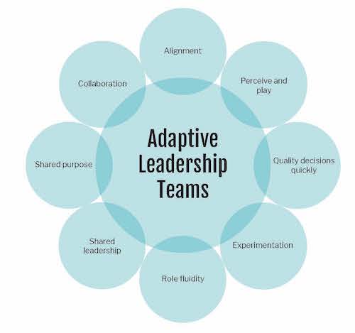 Adaptive Leadership Teams — Karen Ferris