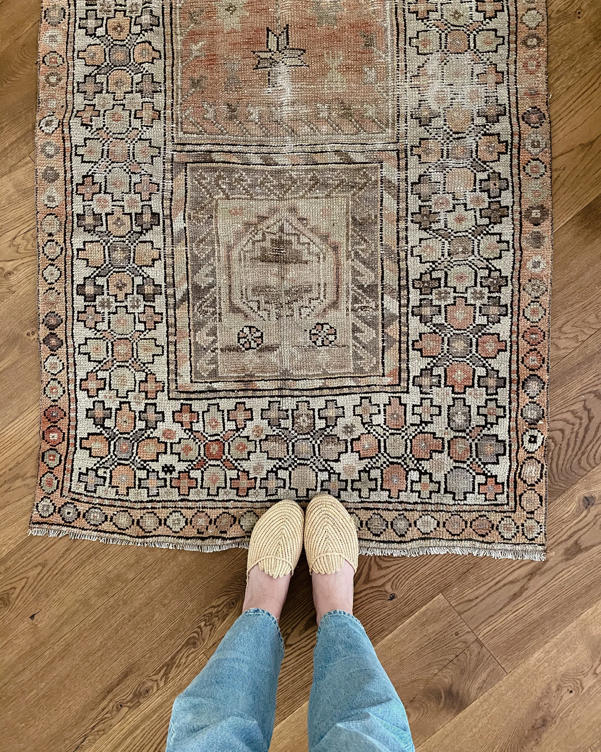 Rug Shopping