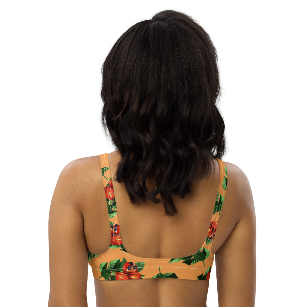 all-over-print-recycled-padded-bikini-top-white-back-67dda42e5d37b.png