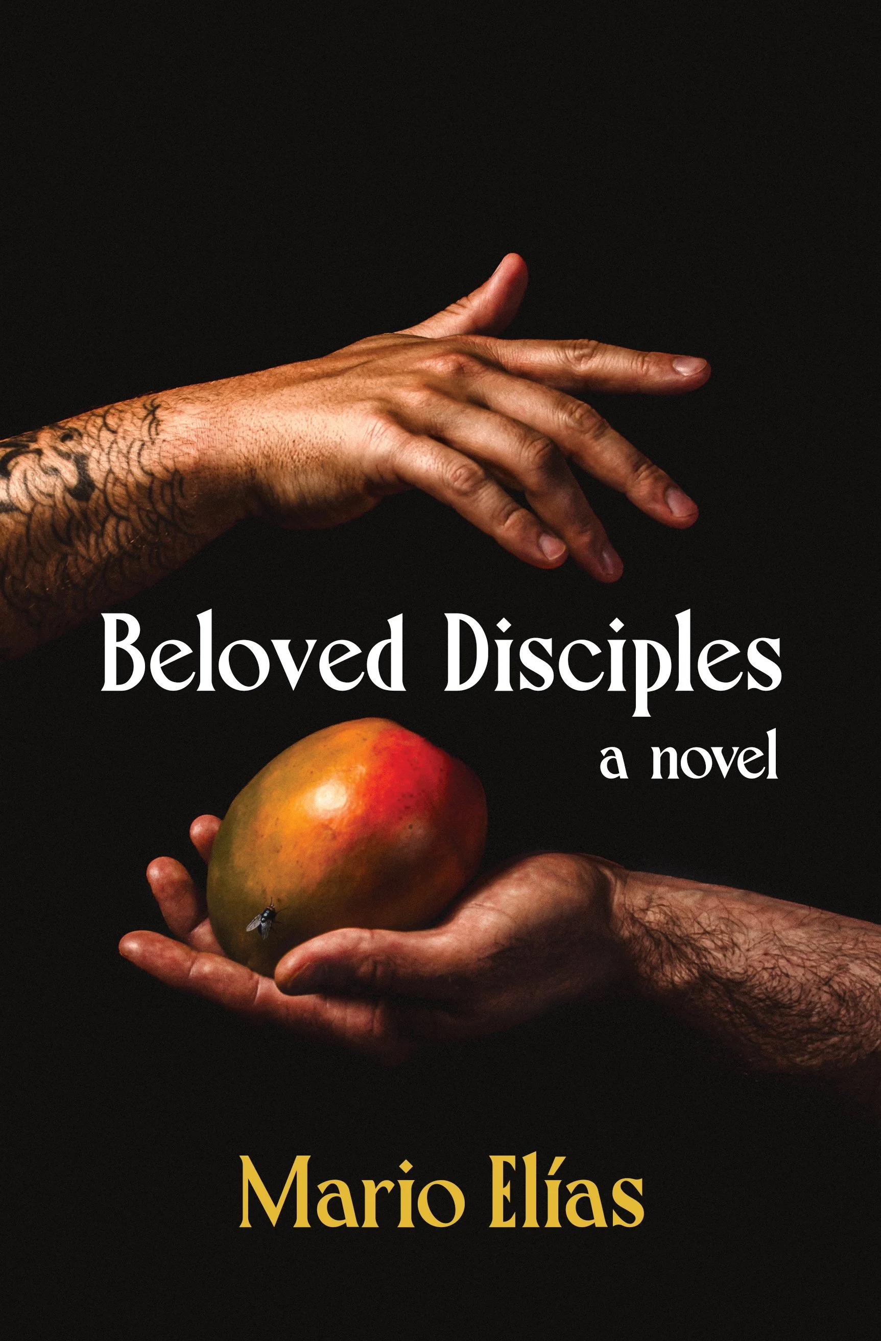 Beloved Disciples - INTERNATIONAL Preorder
