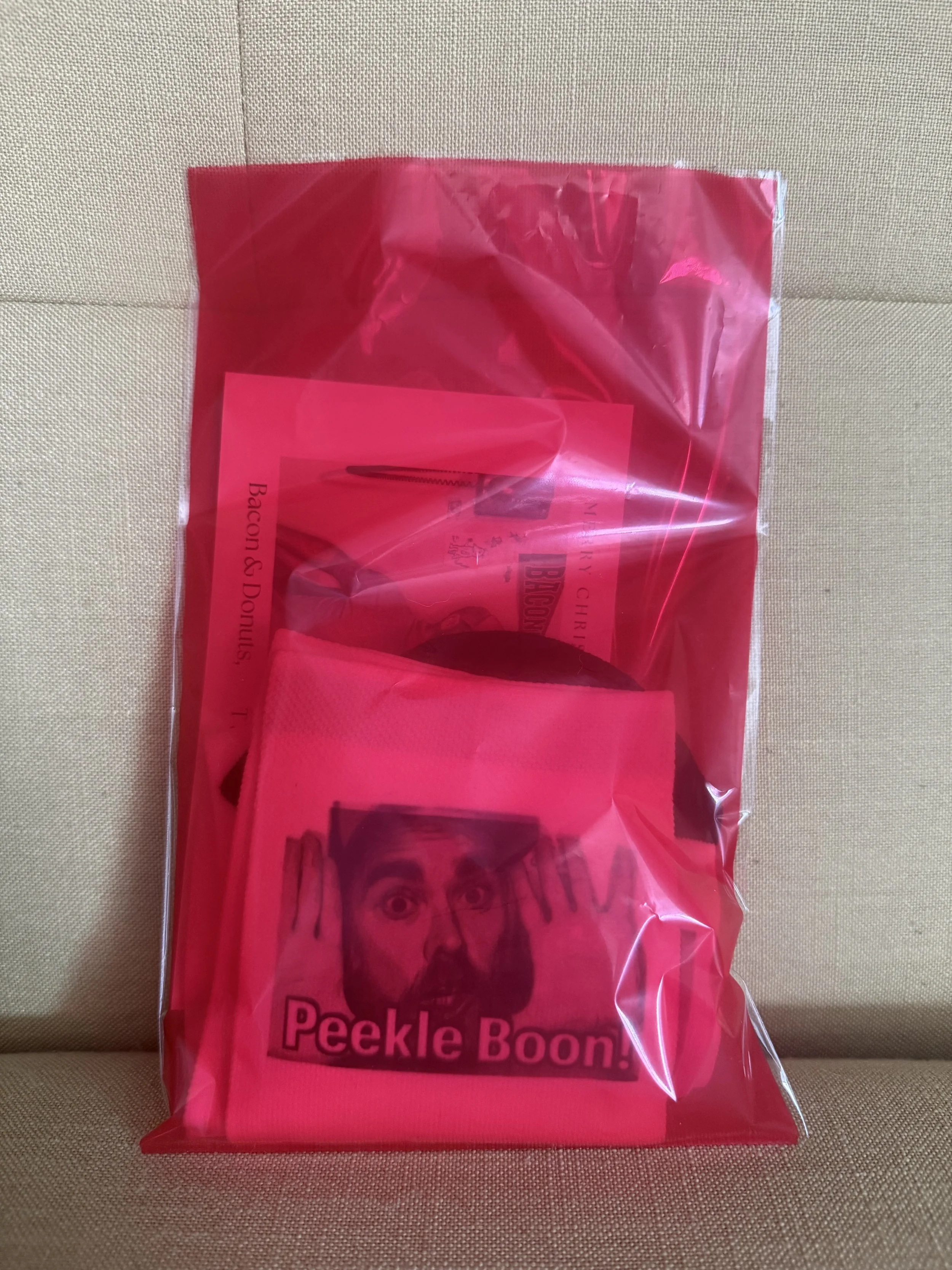 Christmas bag.jpg