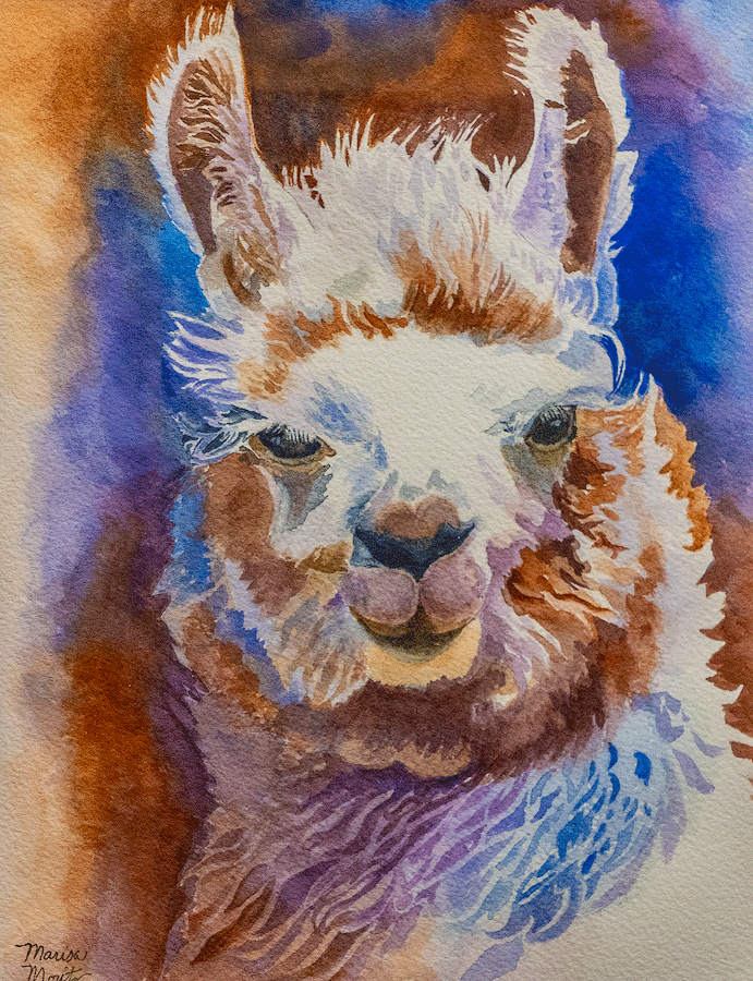 Llama 1